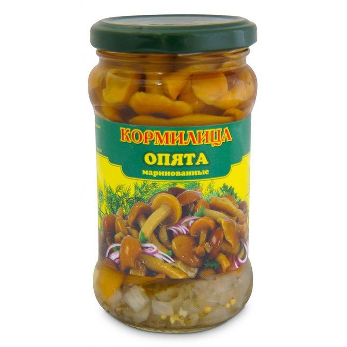 грибы Опята Кормилица 580 гр