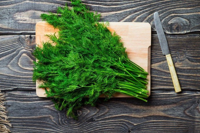 Зелень Укроп 100 гр